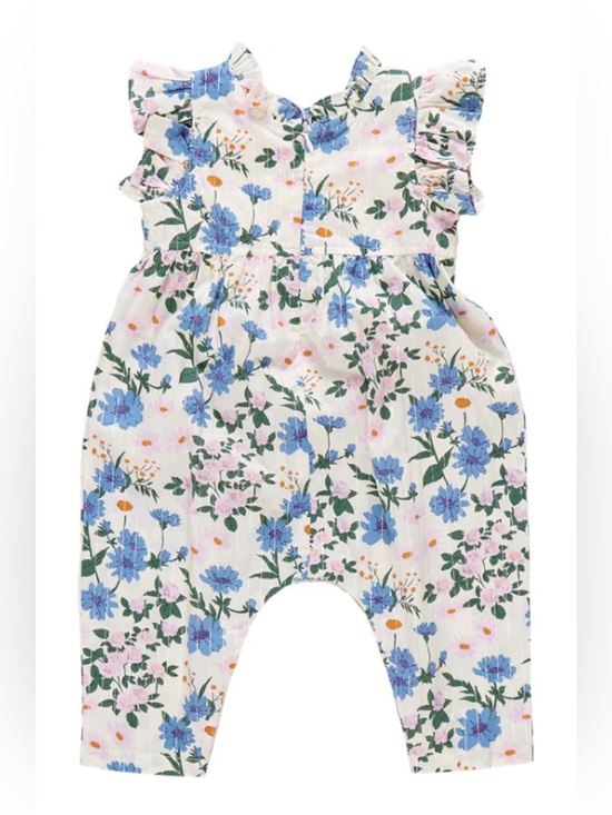 Pink Chicken Other - Pink Chicken Jennifer Jumper/Romper with Blue Floral Melon Print
